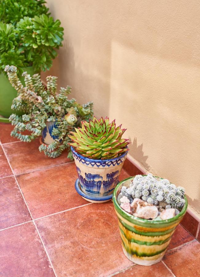 El Agave El Pozo de los Frailes Eksteriør billede