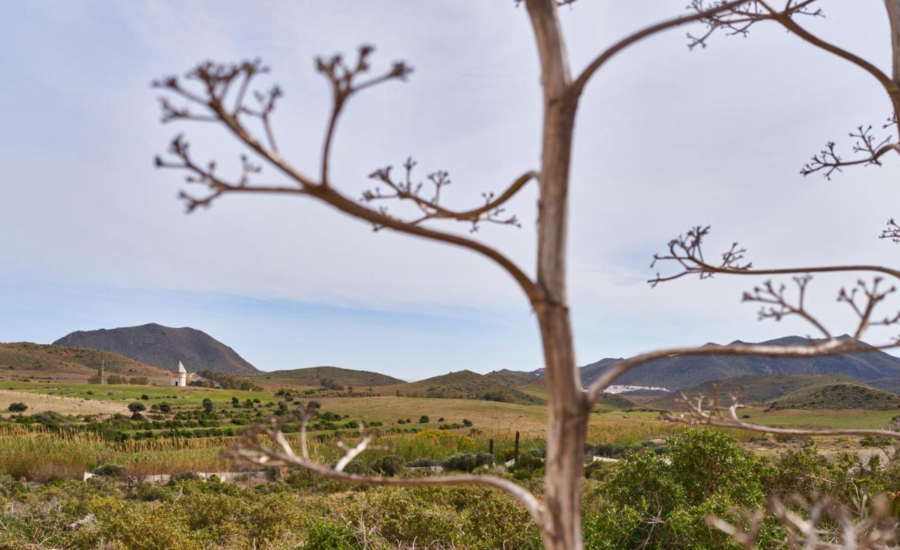 El Agave El Pozo de los Frailes Eksteriør billede